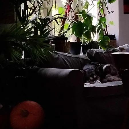 Apartment Przysnij Tu I Owdzie Krakow